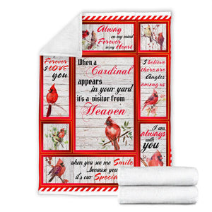 Cardinal Blanket